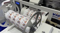 Impresora Industrial de Etiquetas UV de 300 mm, Máquina de Impresión de Etiquetas Adhesivas Impermeables de Alta Resolución