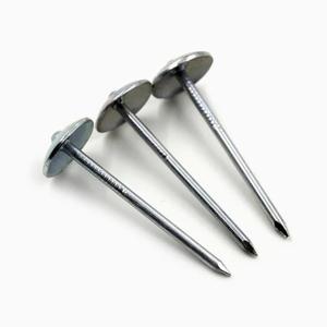 Clous de toiture à tête de parapluie électro galvanisés 2.5 pouces * 9G lisses/torsadés - Product Image 2