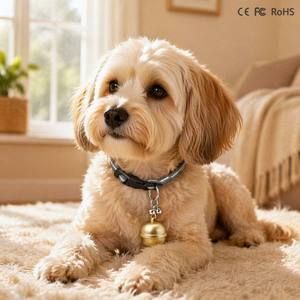 Rastreador GPS GSM para Mascotas <span class=keywords><strong>Topin</strong></span> G15, Collar Impermeable IP67 con Rastreo en Tiempo Real, Antipérdida, Compatible con Android e iOS para Perros y Gatos - Product Image 1