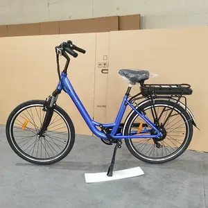 城市通勤Ebike美国欧盟加拿大新款廉价250W 500W扭矩传感器电机电动城市自行车Ebike