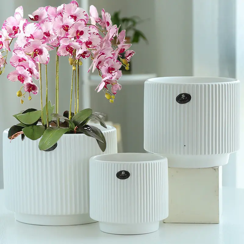 Ceramic Hanging Plant Pot Ceramic Flower Bucket Customize Auto Steel Stainless Tinting Ceramic Vase