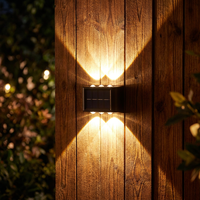 Lampe solaire de jardin extérieure à charge rapide, sans fil, à conversion photoélectrique élevée, avec faisceau haut et bas, compatible OEM/ODM