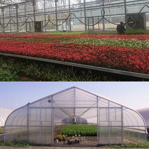 <span class=keywords><strong>Petit</strong></span> chauffe-eau <span class=keywords><strong>solaire</strong></span> en gros <span class=keywords><strong>serre</strong></span> tropicale arc maison jardin en plastique goutte à goutte <span class=keywords><strong>serre</strong></span> métallique forte - Product Image 2