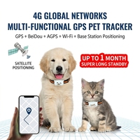 Traceur GPS 4G pour animaux de compagnie, localisateur de chien et de chat en temps réel, étanche, anti-perte, dispositif de suivi, charge magnétique