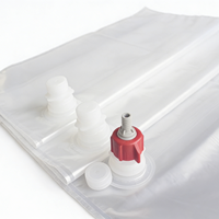 Sac en plastique transparent robuste en gros avec options de valves multiples pour le stockage commercial de vin, de jus et de liquides industriels