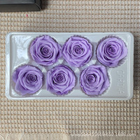 5-6 cm tête de Rose stabilisée têtes de Rose éternelle fleur de Rose préservée pour la décoration