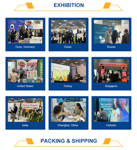 אבקה פרוביוטית מיובשת בהקפאה של Bacillus <span class=keywords><strong>Subtilis</strong></span> בדרגת הזנה, 20-500 מיליארד CFU/גרם Bacillus <span class=keywords><strong>Subtilis</strong></span> - Product Image 3