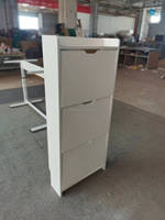 Armoire à chaussures à panneaux en bois Design moderne organisateur stockage chaussures debout armoire à chaussures pour entrée