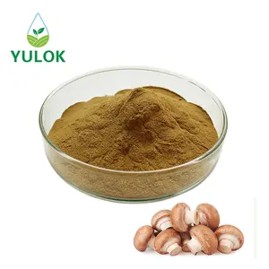 Factory Supply Shiitake Mushroom Extract Powder With Polysaccharide Content Ranging From 10-40%