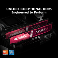 PUSKILL DDR5 ECC Desktop RAM 8GB/16GB/32GB 4800MHz/5600MHz in Stock for Computer Games