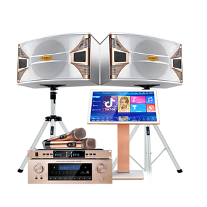 Sistema Profesional de Sonido para KTV, con Amplificadores de Alta Potencia y Altavoces - Product Image 1