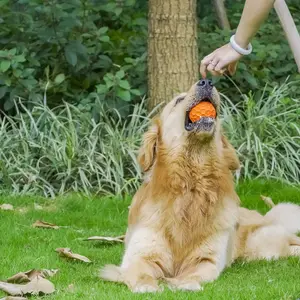 Dapat Disesuaikan Grosir Latihan Interaktif Tahan Lama Lembut Keselamatan Alami Karet Perawatan Anjing Mainan Chew Ahan Hewan Piaraan Anak Anjing Bola Pengumpan