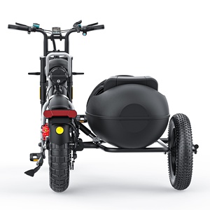 COSWHEEL-Tricycle électrique CT20S, avec assistance à la pédale à trois roues, 2000W - Product Image 6