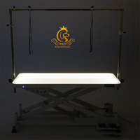 EUR Table de toilettage électrique lumineuse pour animaux de compagnie Design carré simple pour douche et soins d'animaux de compagnie Instrument vétérinaire
