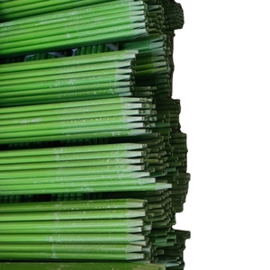 Estacas de Fibra de Vidro Haikuo para Plantas - Varas de Suporte para Jardim em FRP - Impermeáveis, Ecológicas e à Prova de Roedores para Viveiros e Estufas - Product Image 1