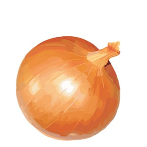 Oignon de marque Moon Star, variété Texas Grano Jaune OPV, pureté 99,99%, origine Pakistan, germination 85%, variété fiable pour la production agricole - Product Image 3