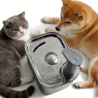 Fontaine à eau sans fil rechargeable pour animaux de compagnie, en acier inoxydable 304, distributeur d'eau intelligent à circulation automatique sans fil