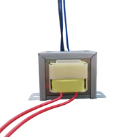 Transformateur de puissance basse fréquence 1000W abaisseur 220V à 110V 24V et 36V sortie fréquence 50Hz