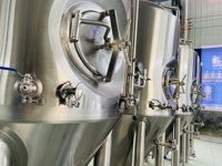 Usine Directement 100L 150L 300L 500L Maison Brasserie Équipement de Brassage Fermenteurs Bière Unitank