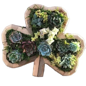 Maceta para flores suculentas, forma de maceta, Animal de madera, jardín, cabeza de caballo, <span class=keywords><strong>mariposa</strong></span>, exterior, ecológico, minimalista, caja marrón de madera - Product Image 1