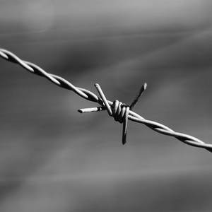 Sistem Penghalang Keamanan Premium Kawat Berduri Baja Galvanis untuk Konstruksi Pagar Dinding dan Perlindungan Pengendalian Kerumunan - Product Image 3