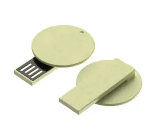 Eco Vriendelijke Promotie Usb 4Gb Clip Usb Flash Drive Ronde Vorm Usb Memory