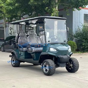 Voiturette de golf électrique classique 2+1 places économique avec batterie au lithium ou au plomb-acide personnalisable 48V/60V/72V - Product Image 3
