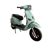 Nouveaux scooters électriques urbains 2025, modèle 800W, cyclomoteur électrique puissant, moto électrique pour adultes