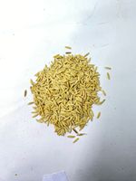 IPB 13 Senopati, matériau de plantation de riz de qualité supérieure à haut rendement, variété adaptée aux climats, semence botanique d'Indonésie