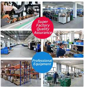 Motor de CC cepillado de alta resistencia de 600W y 24V, reducción de imán permanente para silla de ruedas y herramientas eléctricas, Motor de CC cepillado de 24V - Product Image 5