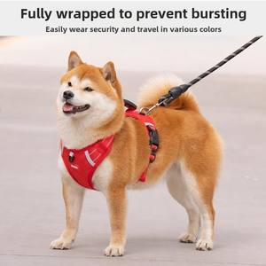 Conjunto de correa para perro pequeño Patrón sólido de moda Características personalizadas Neopreno Material de poliéster Botón Conjunto de Correa y Collar para perro - Product Image 5