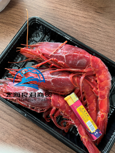 Langostinos Carabinero Congelados con Gran Sabor para Restaurantes, Hoteles y Servicios de Catering, Compre Ahora - Product Image 2