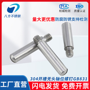 Eight Directions 304 Stainless Steel GB831 Headless Cylindrical Pin M2 M3 M4 External Thread Screw Shaft Industrial Grade - Product Image 5