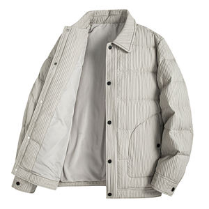 Veste d'hiver décontractée pour homme à capuche, petite taille, 90% de duvet, tissu en toile, design simple, style sportif polyvalent - Product Image 1