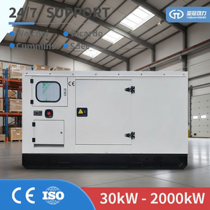 Generatore Diesel di Emergenza YAG YAG-30GF 30KW Silenzioso a Telaio Aperto - 24V 75dB 7M 380V per Fabbriche e Centrali Elettriche - Product Image 1