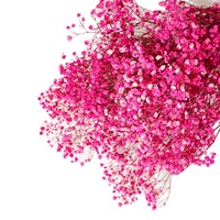 Dekorative Echte Frische Konservierte Schleierkraut-Blumen 120g Langlebig für Heim-Hochzeitsdekoration Muttertag Vatertag Weihnachten