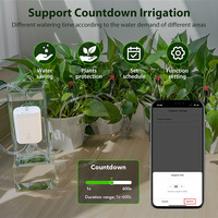 Programmateur d'arrosage automatique intelligent Wi-Fi pour balcon intérieur et jardin, idéal pour pots de fleurs et balcon
