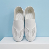Zapatos de Seguridad Antiestáticos de Lona con Suela de PVC/PU, Cuatro Orificios, Antipolvo, para Cuarto Limpio ESD, Colores Personalizados