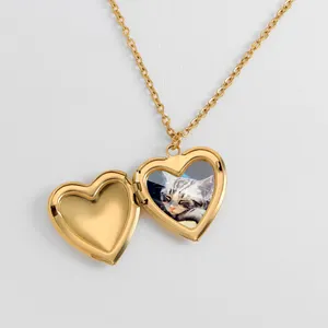 Mode-sieraden Gouden Hart Medaillon Hanger Kettingen Gothic Choker Vrouwen Openen Hart Photo Hoge Poolse Hollow Medaillon Ketting