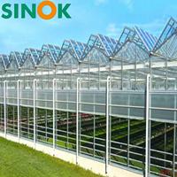 Serre en verre multi-travées sur mesure Sinok avec système hydroponique pour légumes-feuilles, laitue et tomates