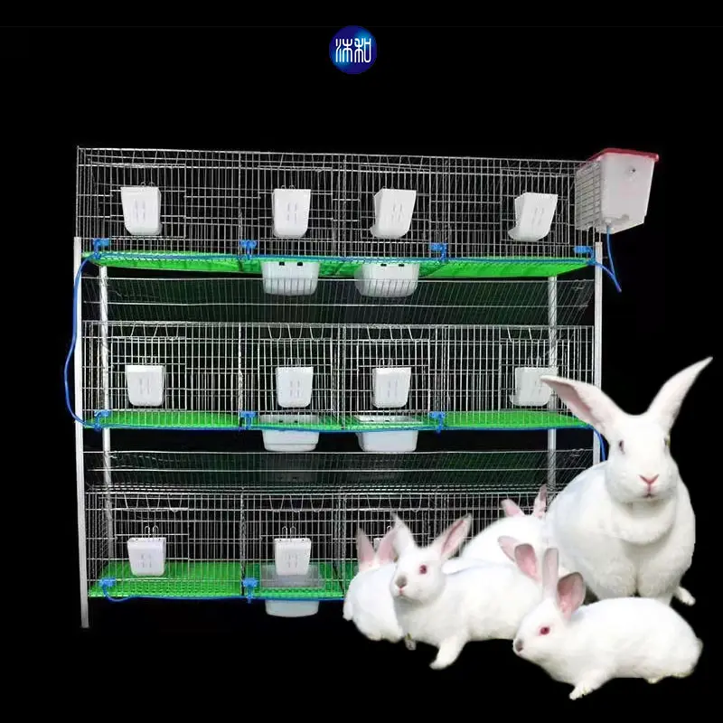 Esclusivamente per la gabbia per conigli da allevamento di alta qualità della regione araba