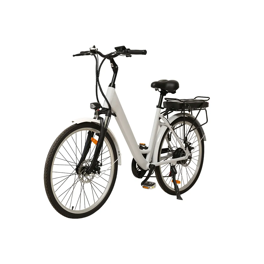 20 inch 36V250W portable folding fat tire electric bike good quality hot sale competitive price bicycle with CE certification