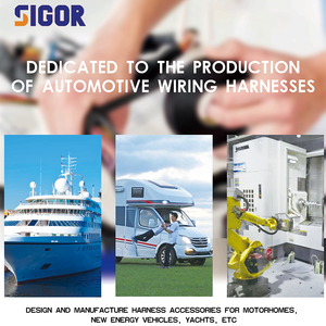 Sigor OEM ODM RV สายรัดประกอบสายเคเบิลตัวนำชุบเงิน PVC ตัวเชื่อมต่อยานยนต์ตามสั่ง - Product Image 4