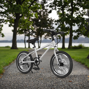 Nuova Bicicletta BMX 2026 <span class=keywords><strong>da</strong></span> 16-20 Pollici, Monovelocità, Freestyle, <span class=keywords><strong>da</strong></span> Strada, <span class=keywords><strong>Bici</strong></span> <span class=keywords><strong>da</strong></span> Città per Bambini, Mountain Bike per Ragazzi in Vendita - Product Image 6
