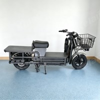Promotion d'usine pour les services de livraison de nourriture et de colis : Moto électrique de transport promotionnelle, Vélo électrique, Scooter de livraison