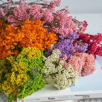 Langdurig bewaarde rijstbloemen bulk, natuurlijke gedroogde rijstbloemen voor thuis, café, hotel en villa interieurdecoratie