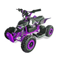 Best-seller européen, nouveau mini quad électrique 36V 500W pour enfants, buggy de plage/ATV modèle SHEATV-001
