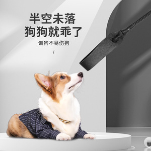 Suministro directo transfronterizo de látigos de entrenamiento para mascotas que no dañan a los perros. Suministros para el entrenamiento de perros, látigo de entrenamiento para mascotas - Product Image 1