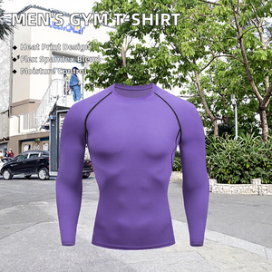 Ventes en gros de t-shirts de sport ajustés à manches longues pour hommes, respirants, pour la salle de sport, le basketball et l'entraînement - Product Image 2