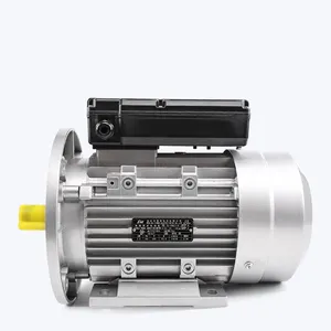 YL 시리즈 3000rpm 220 300 와트 200w 300 w 50kw 230v 50hz 커패시터 ac 기어드 펌프 모터